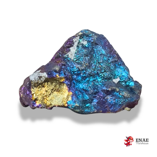 Bornite brute (MB573-1)