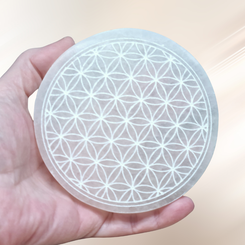 Acide citrique de qualité alimentaire en poudre monohydrate