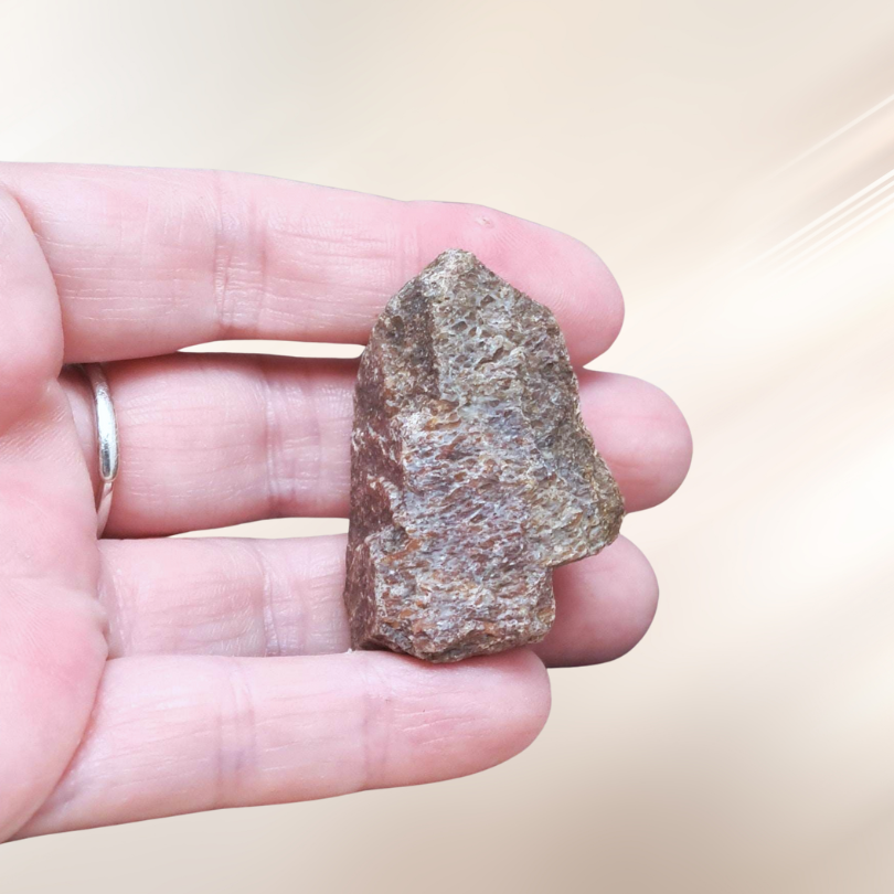 fossile, lithotherapie, os dinosaure, pierre brute ENAE Mineraux