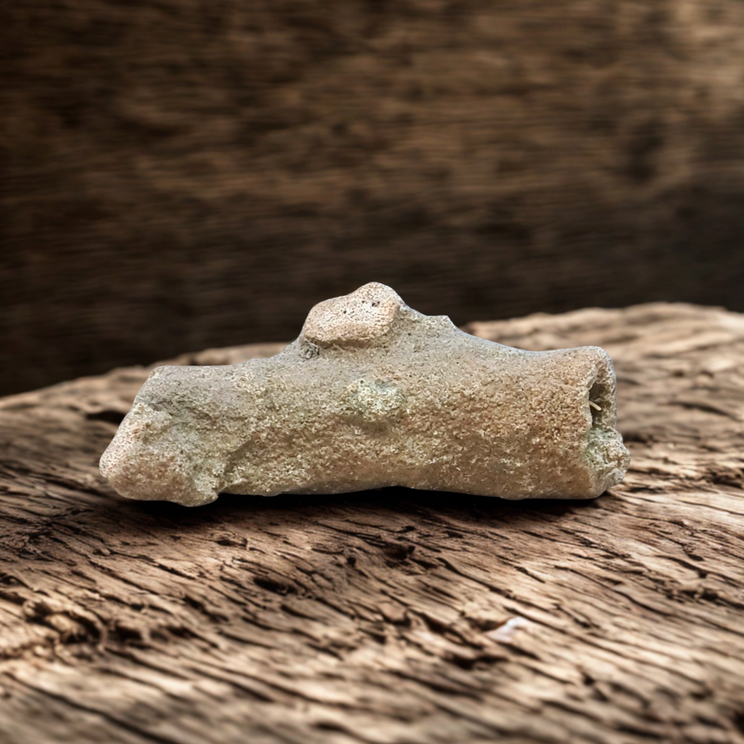 Fulgurite 23g (MB579)