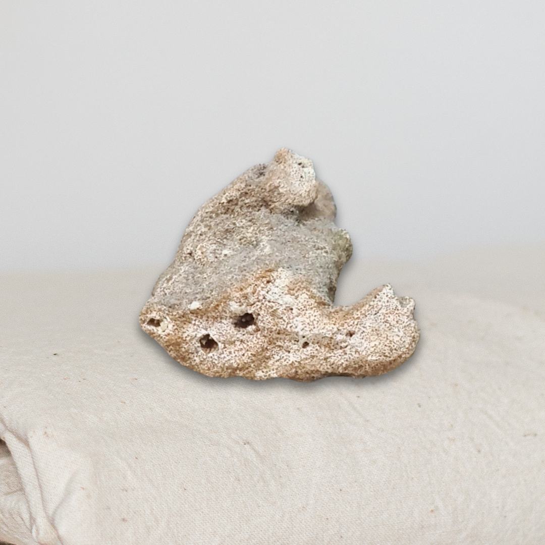 Fulgurite 23g (MB579)