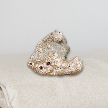 Fulgurite 23g (MB579)