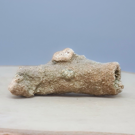 Fulgurite 23g (MB579)