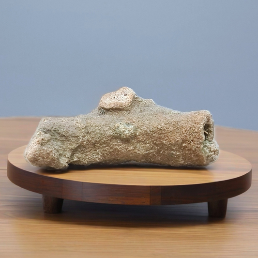 Fulgurite 23g (MB579)