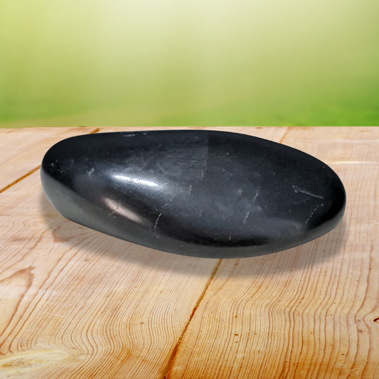Galet en Shungite (PRGFL743)