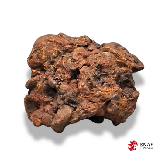 Limonite, Goethite et Pisolithes brutes (MB575-1)