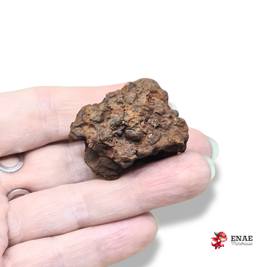 Limonite, Goethite et Pisolithes brutes (MB575-1)