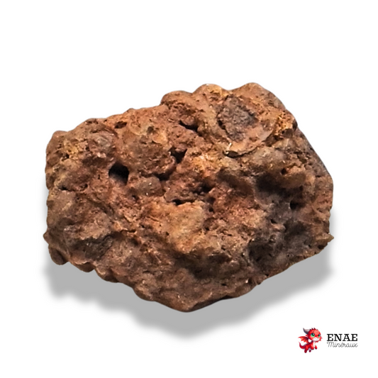 Limonite, Goethite et Pisolithes brutes (MB575-2)