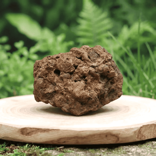 Limonite, Goethite et Pisolithes brutes 26g (MB575 - 2)