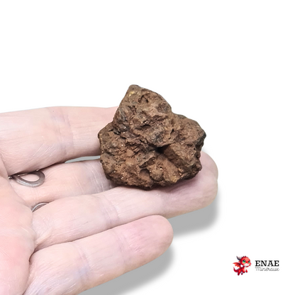 Limonite, Goethite et Pisolithes brutes (MB575-2)