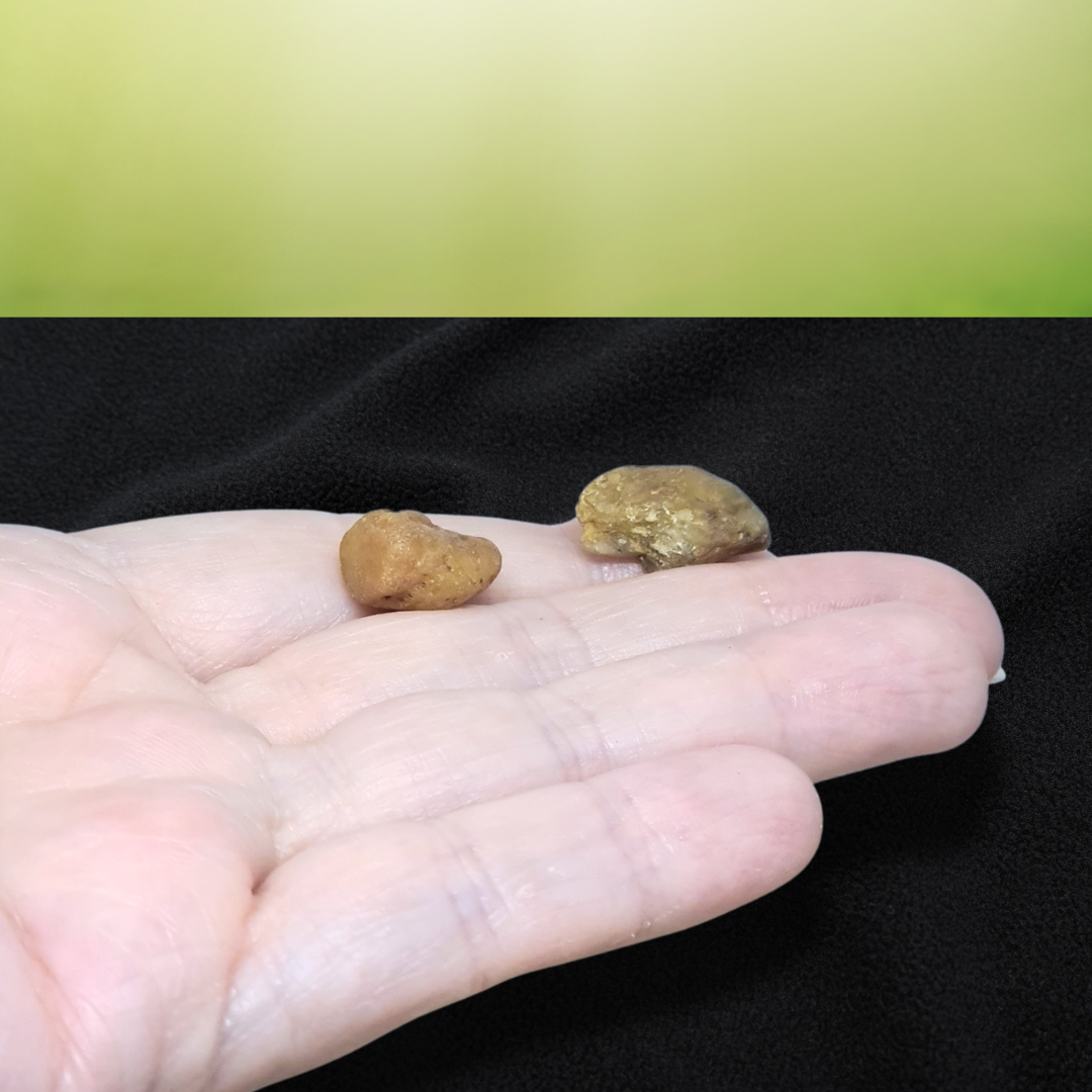 Lot de 2 Saphir jaunes bruts (MB568)