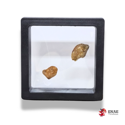 Lot de 2 Saphir jaunes bruts (MB568)