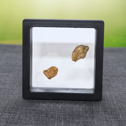 Lot de 2 Saphir jaunes bruts (MB568) - ENAE Minéraux