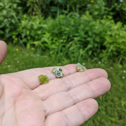 Lot de 3 Péridot bruts (MB566)
