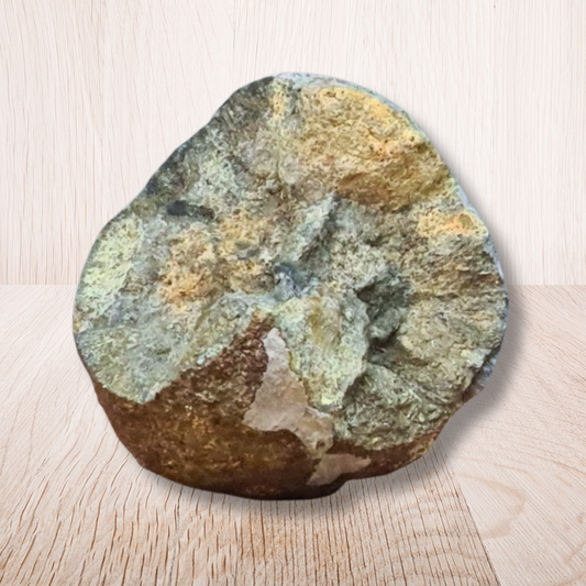 Nodule de Pyrite (MB564) - ENAE Minéraux