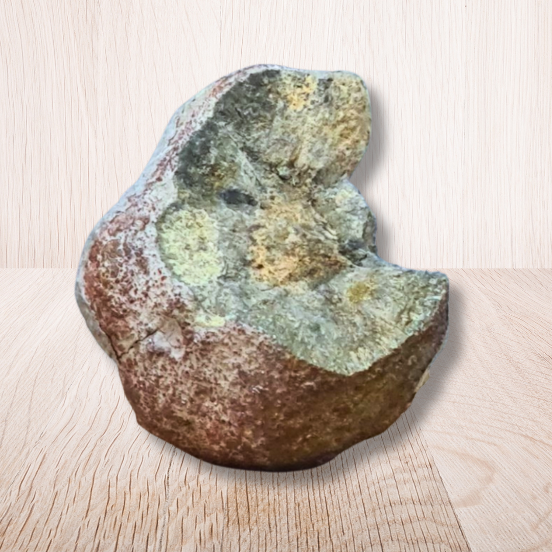 Nodule de Pyrite (MB564) - ENAE Minéraux