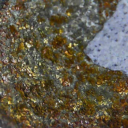 Nodule de Pyrite (MB564) - ENAE Minéraux