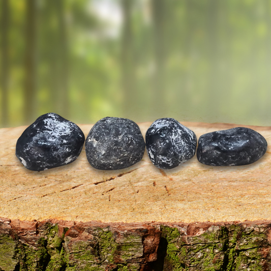 Obsidienne Larme d'Apache brute (MB574)