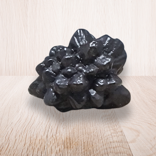 Pierre de Prophétie brute - Goethite / Marcasite (MB554-5)
