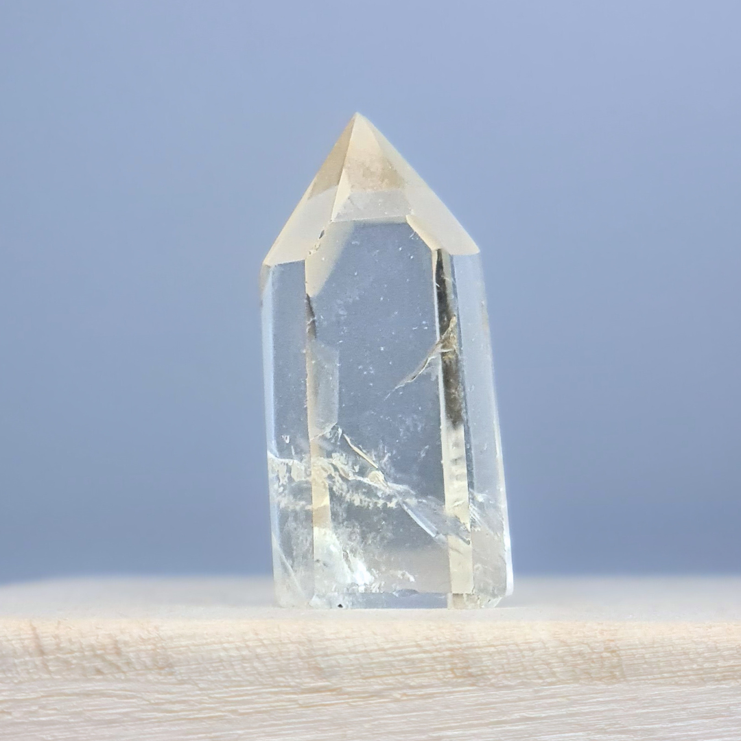 Pointe polie en Citrine 16g (PRGFL759)