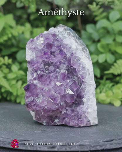 Géode d'Améthyste brute 1034g (MB330-9)