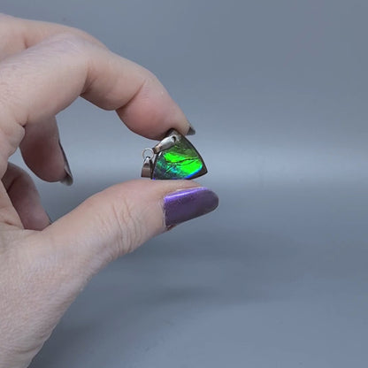 Pendentif en Ammolite (PE1909-4)