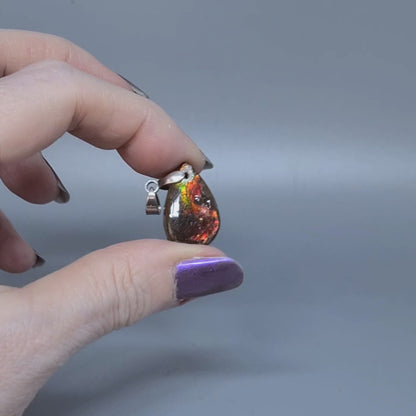Pendentif en Ammolite (PE1909-2)