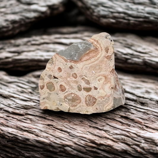 Rhyolite Léopard brute 32g (MB581)
