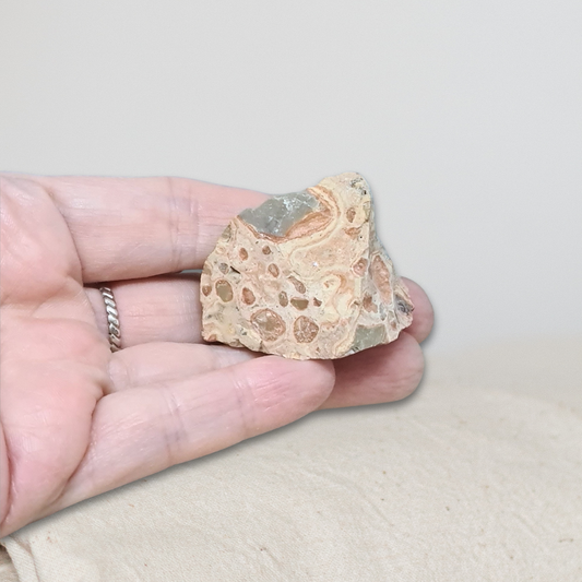 Rhyolite Léopard brute 32g (MB581)
