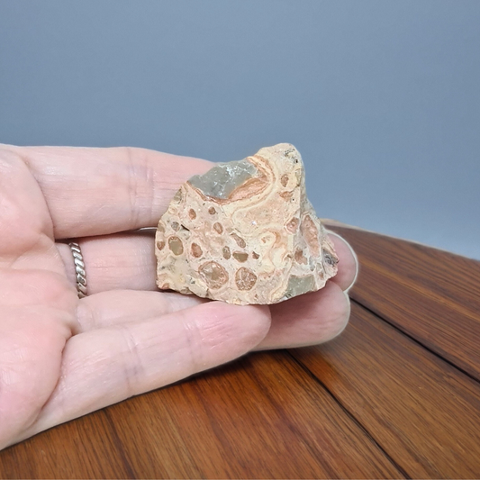 Rhyolite Léopard brute 32g (MB581)