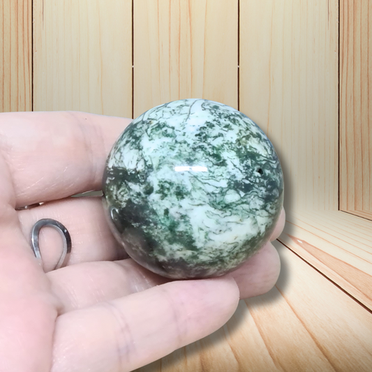 Sphère en Agate arbre 88g (PRGFL755)