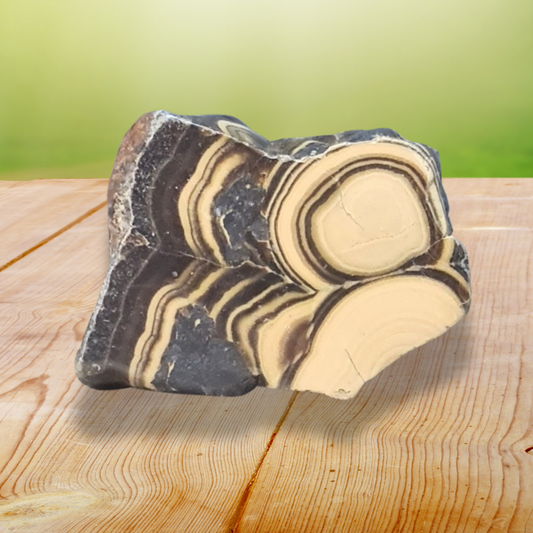 Tranche de Schalenblende polie (PRGFL742) - ENAE Minéraux
