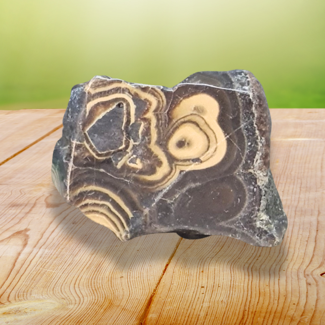 Tranche de Schalenblende polie (PRGFL742) - ENAE Minéraux